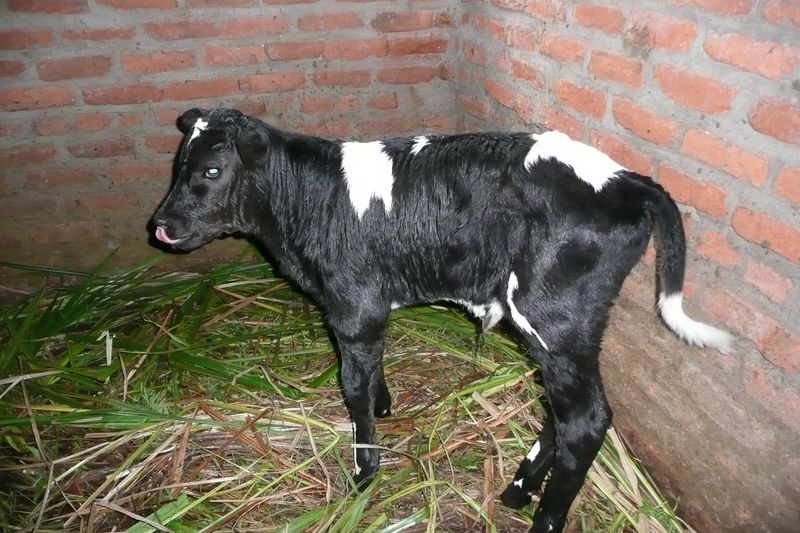 cyangugu3